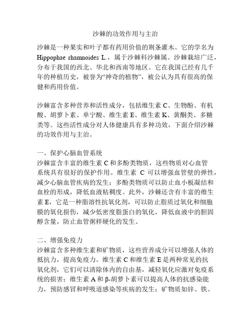 沙棘的功效作用与主治
