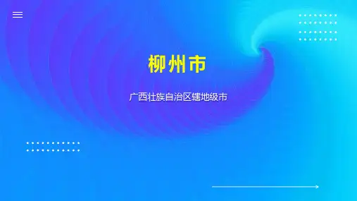 柳州市    
