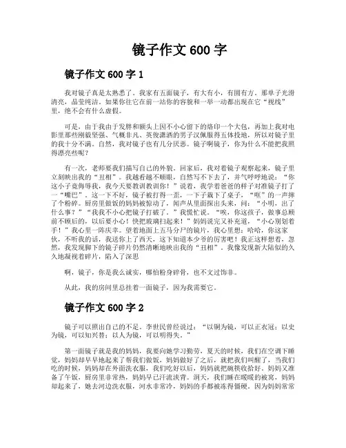 镜子作文600字
