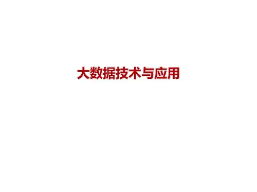 大数据技术与应用(成功案例)ppt课件