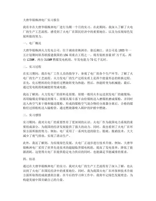 大唐华银株洲电厂实习报告