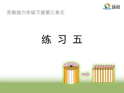小学六年级数学：《练习五》习题课件