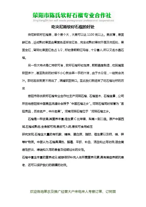 吃突尼斯软籽石榴的好处