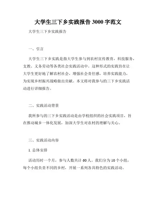 大学生三下乡实践报告3000字范文