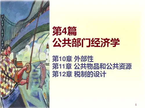 微观经济学--外部性PPT课件