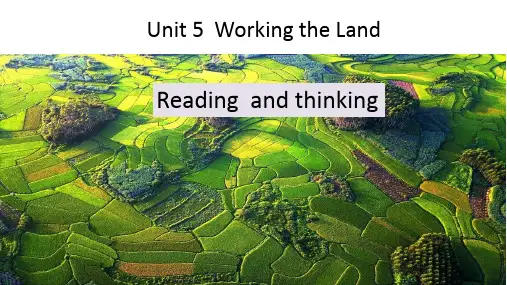Unit+5+Reading+and+Thinking+课件人教版(2019)选择性必修第一册