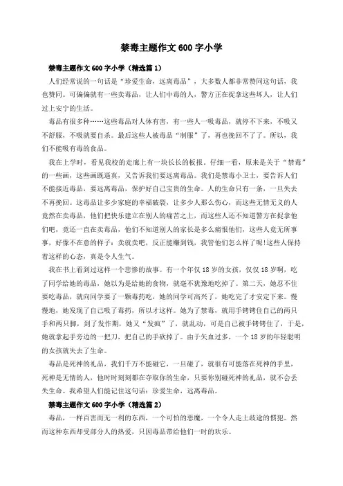 禁毒主题作文600字小学