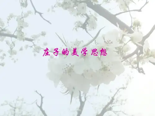 庄子美学思想 ppt课件
