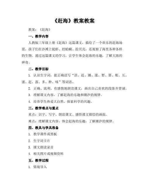 《赶海》教案教案