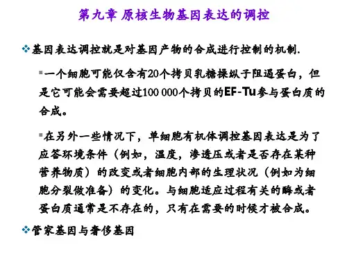 第九章：原核生物基因表达调控