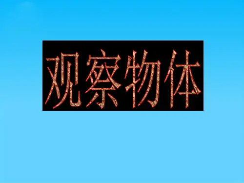 四年级上册数学课件-3.1 观察物体丨苏教版 (共32张PPT)
