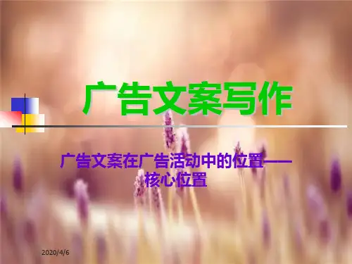 广告文案写作