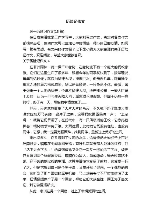 历险记作文