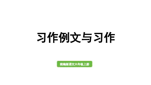 统编版六年级语文上册第五单元-习作例文与习作课件