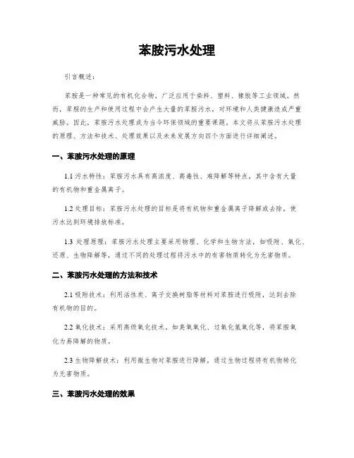 苯胺污水处理