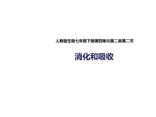 人教版七年级生物下册4.2.2《消化和吸收》课件(27张PPT)