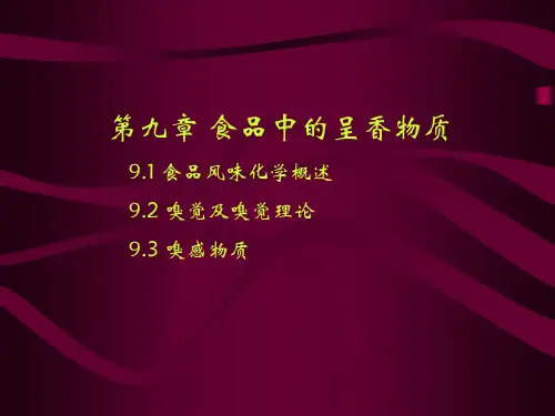 食品风味化学概述嗅觉及嗅觉理论嗅感物质