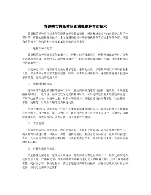 青铜峡市树新林场紫穗槐播种育苗技术