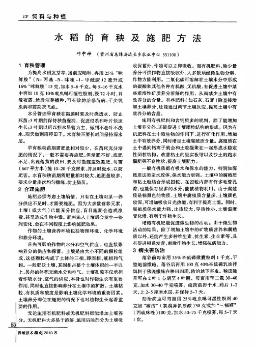 水稻的育秧及施肥方法