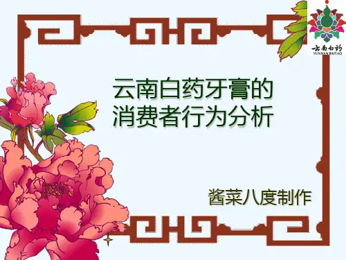 云南白药牙膏消费者行为分析.ppt
