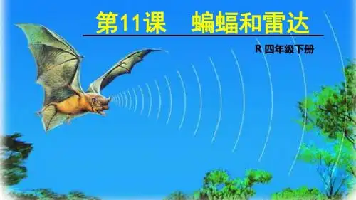 人教版语文四年级下册11课《蝙蝠与雷达》