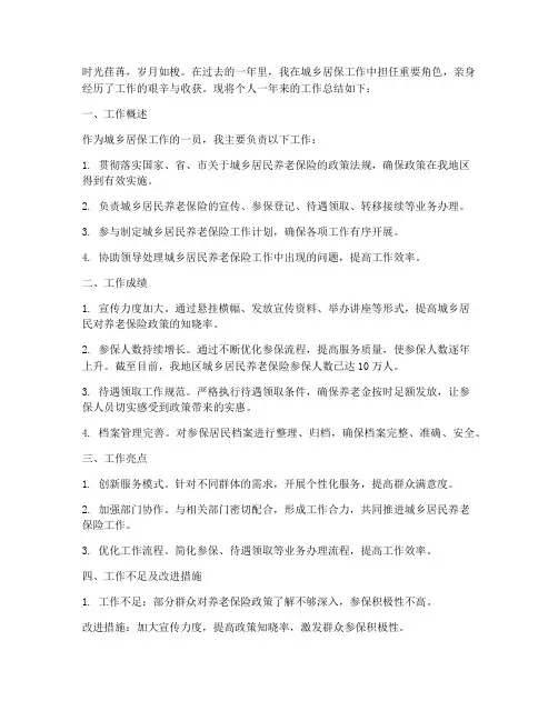 城乡居保工作总结个人