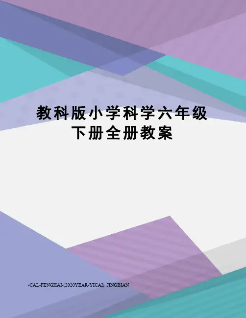 教科版小学科学六年级下册全册教案