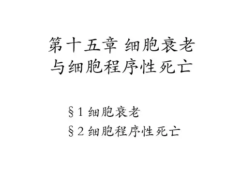 细胞生物学 第十五章细胞衰老与细胞程序性死亡-1