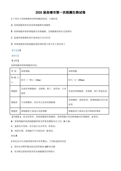 云南省曲靖市2019-2020学年高三第一次统测生物试题(解析版)