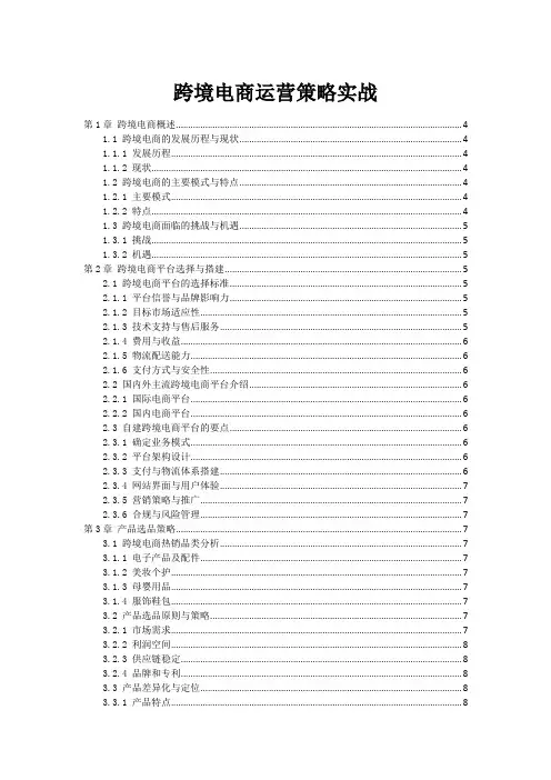 跨境电商运营策略实战