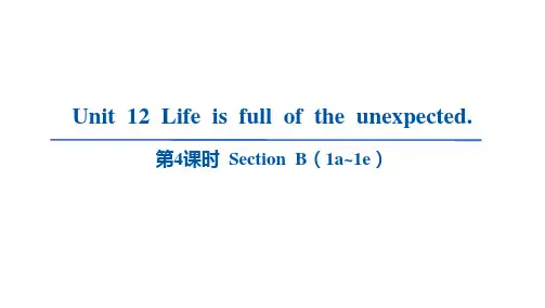 Unit12SectionB课件人教版英语九年级全册(1)