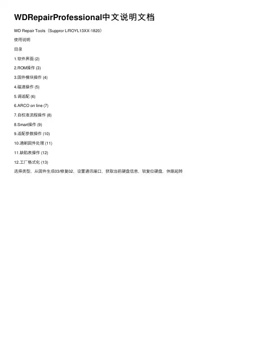 WDRepairProfessional中文说明文档