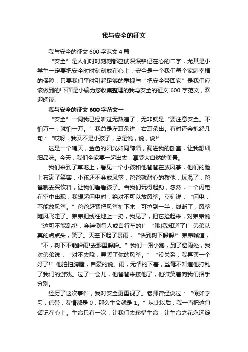我与安全的征文