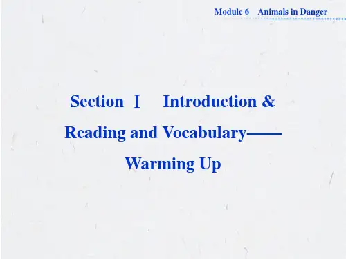 外研版高中英语必修5教学课件：Module 6 Animals in Danger