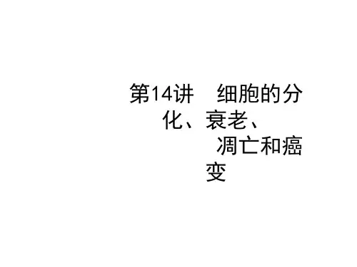 高考生物二轮复习课件-细胞的生命历程细胞的分化衰老凋亡