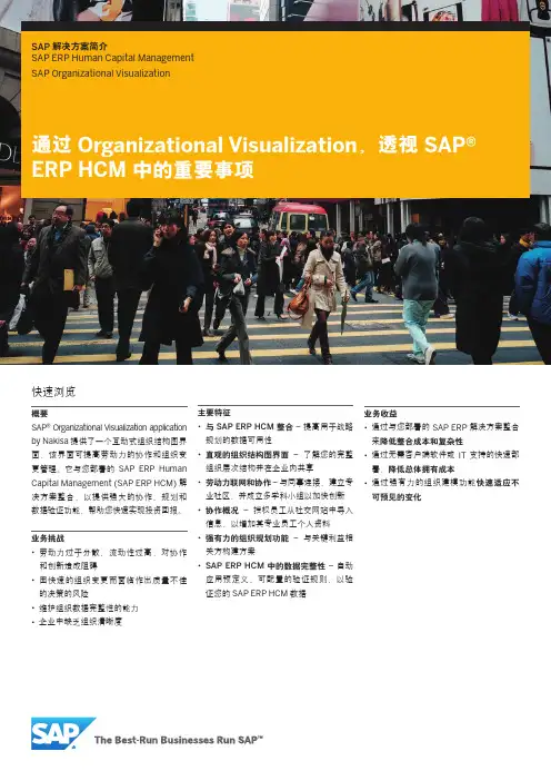 SAP解决方案简介