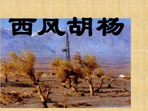 五年级上册语文课件9.西风胡杨｜语文S版 (共18张PPT)