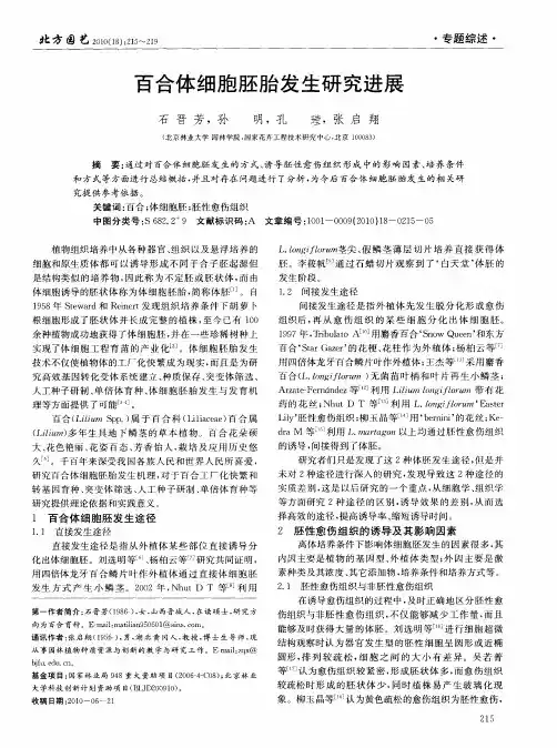百合体细胞胚胎发生研究进展