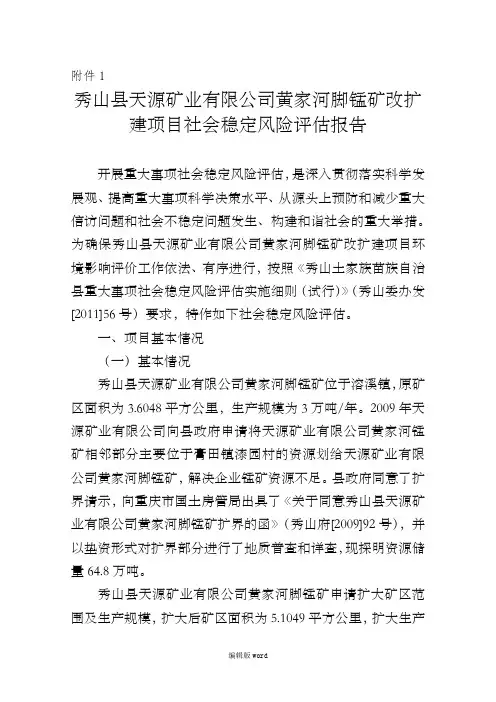 风险评估报告完整版本