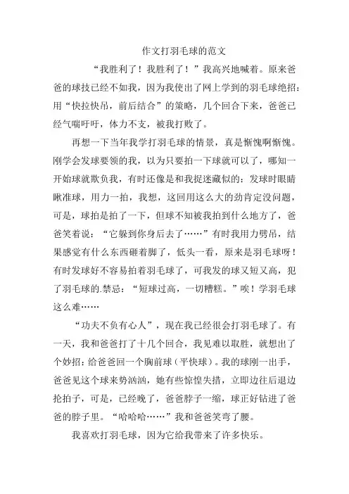 作文打羽毛球的范文300字