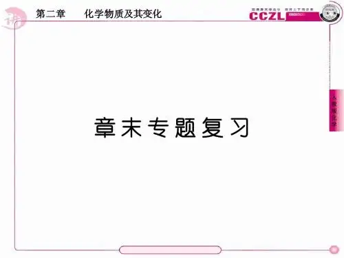 高一化学必修一 第二章 《化学物质及其变化》全章复习PPT课件