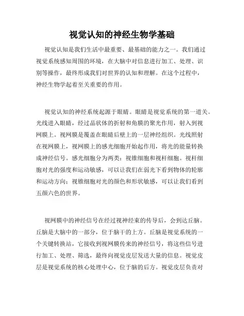 视觉认知的神经生物学基础
