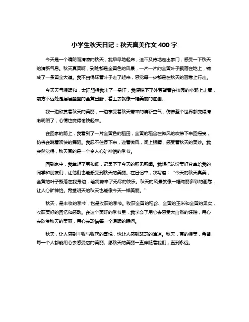 小学生秋天日记：秋天真美作文400字