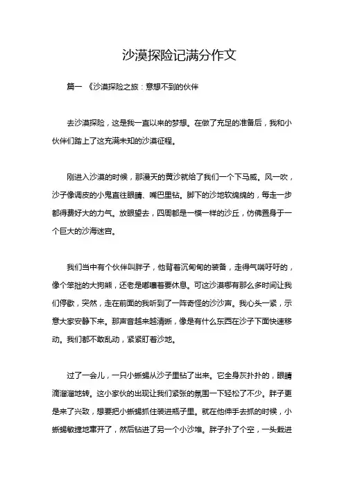 沙漠探险记满分作文