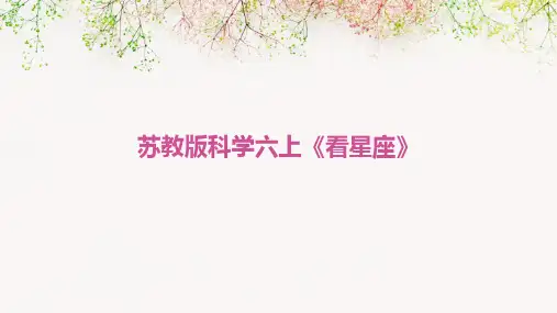 苏教版科学六上《看星座》