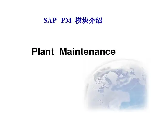 (完整版)SAPPM模块介绍