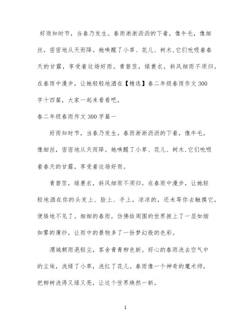 【精选】春二年级春雨作文300字十四篇