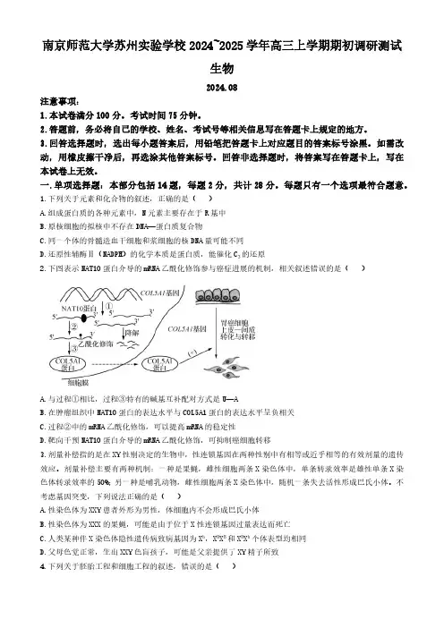 江苏省苏州市2024~2025学年高三上学期期初调研测试生物学试卷(含答案)