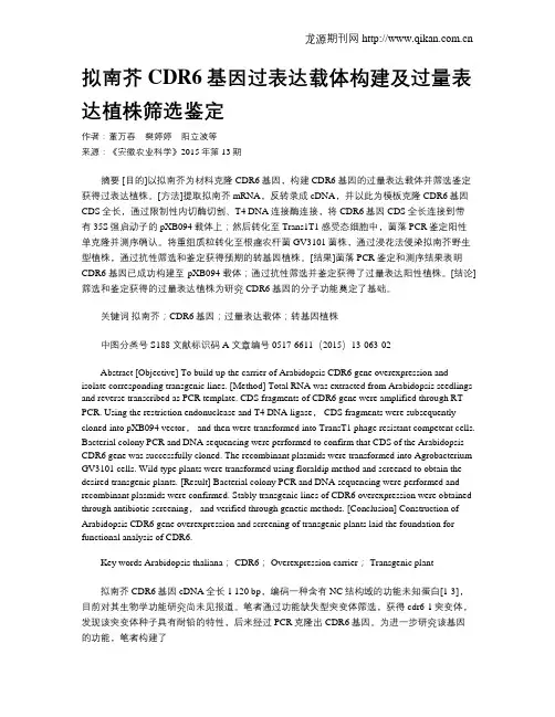 拟南芥CDR6基因过表达载体构建及过量表达植株筛选鉴定
