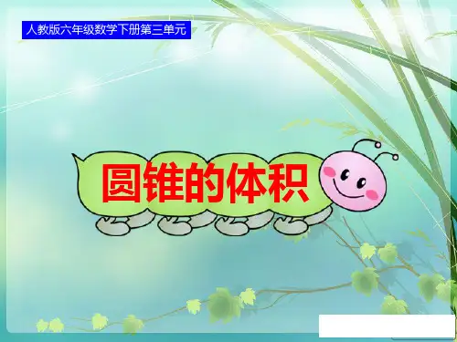 最新人教版六年级数学下册第三单元圆锥的体积-